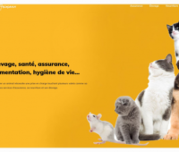 https://www.actuanimaux.fr
