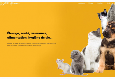 https://www.actuanimaux.fr