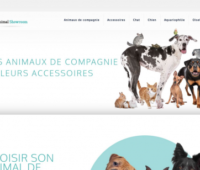 https://www.animal-showroom.fr