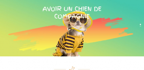 https://www.atoutchien.fr