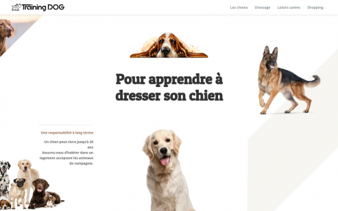 https://www.training-dog.fr