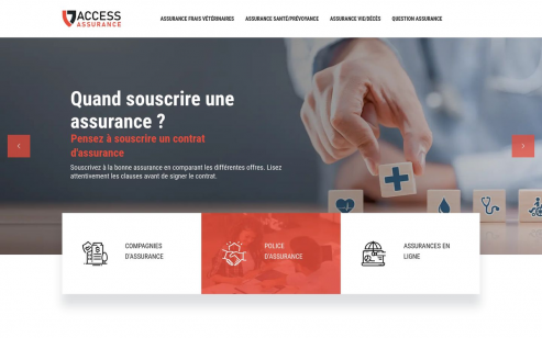 https://www.access-assurance.com