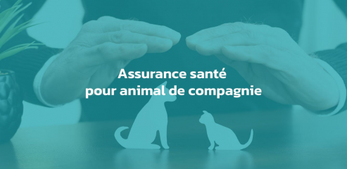 https://www.assurances-sante-chien-chat.fr