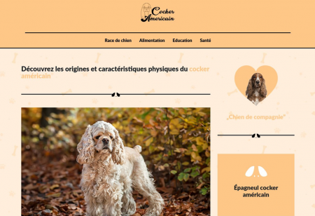 https://www.cocker-americain.fr