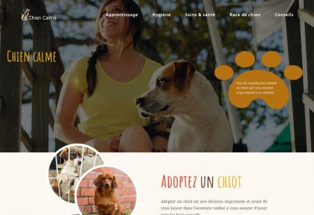 https://www.chiencalme.com