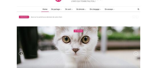 capture écran du site https://www.wanimobuzz.fr/