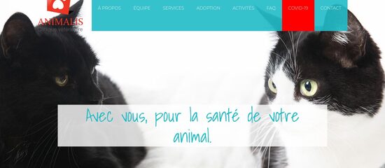 capture écran du site http://www.veterinaireanimalis.ca/