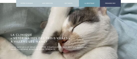 capture écran du site http://www.veterinairesdestroisvilles.fr/